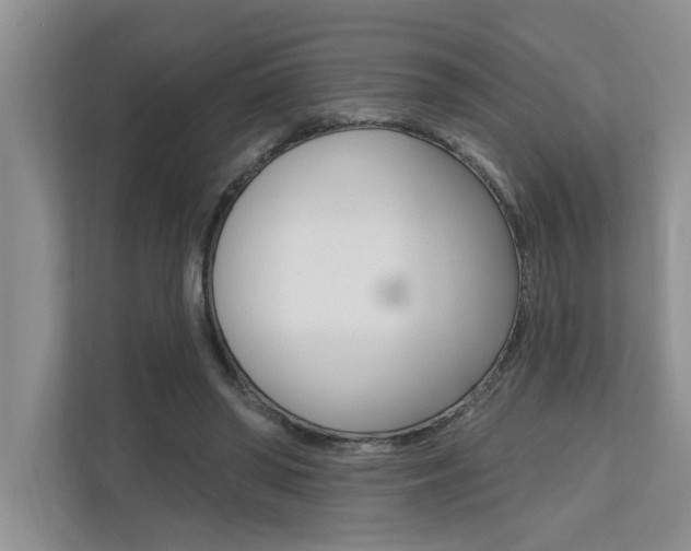 X0000110700398200906121040