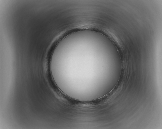 X0000110700400200906121040