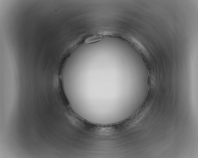 X0000110700401200906121040