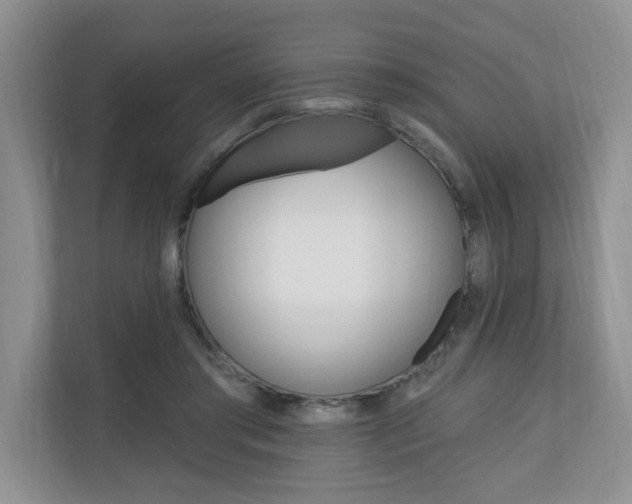 X0000110700405200906121040