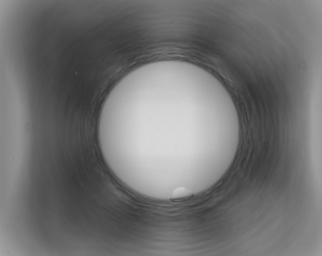 X0000110700411200906121040