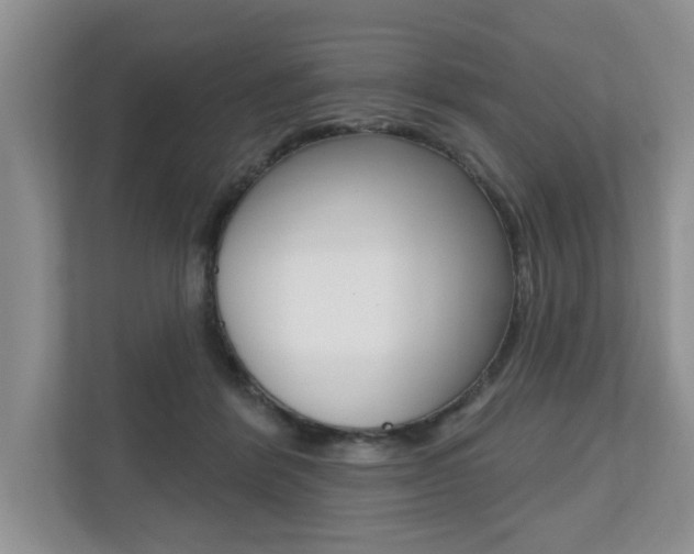 X0000110700412200906121040