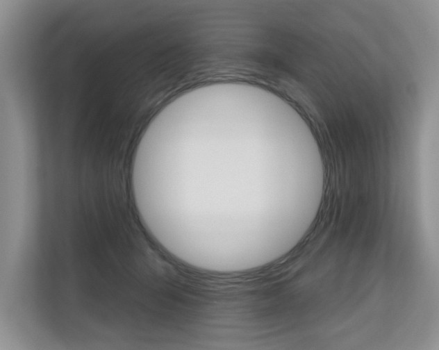 X0000110700415200906121040