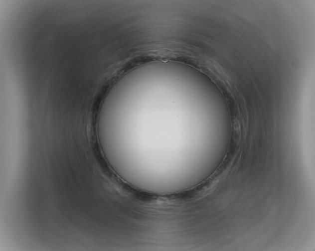 X0000110700416200906121040