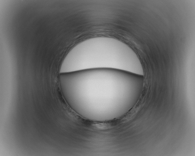 X0000110700417200906121040