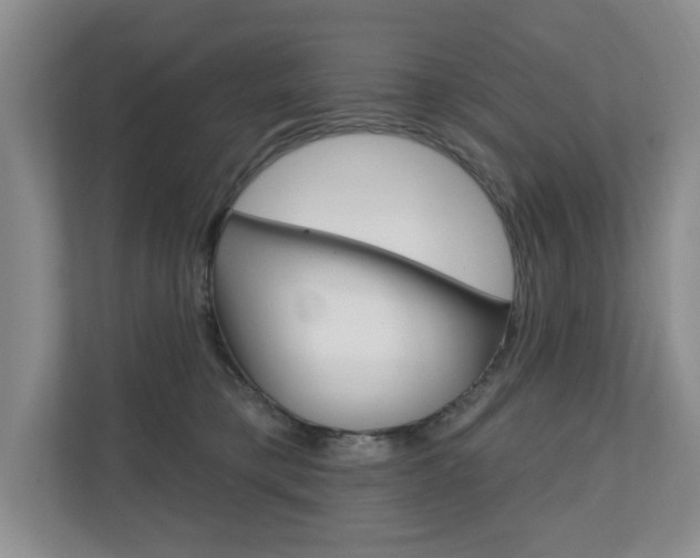 X0000110700421200906121040
