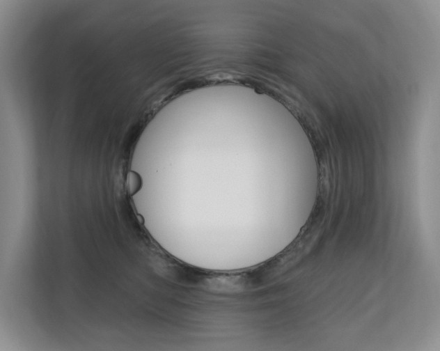 X0000110700422200906121040