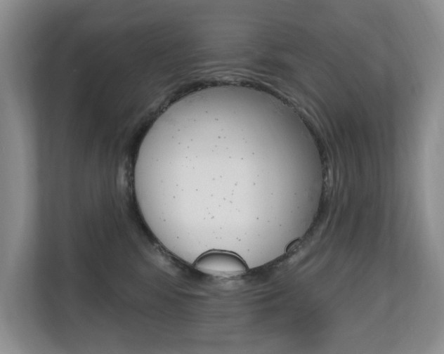 X0000110700424200906121039
