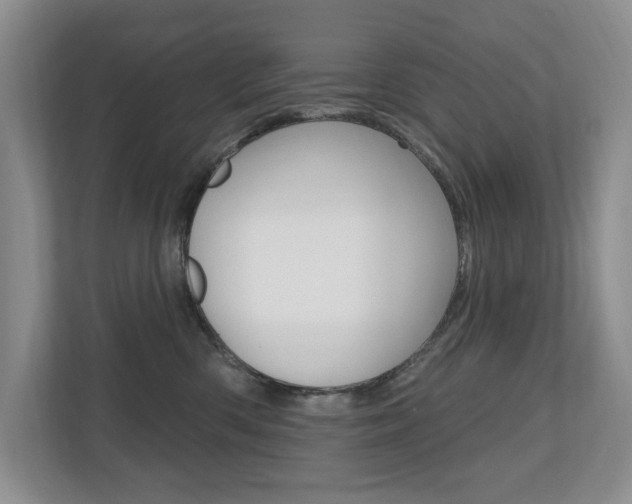 X0000110700426200906121039