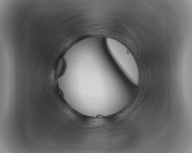 X0000110700428200906121039