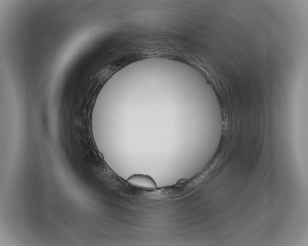 X0000110700430200906121039
