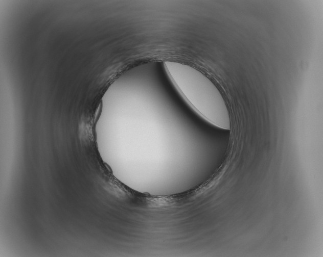 X0000110700432200906121039