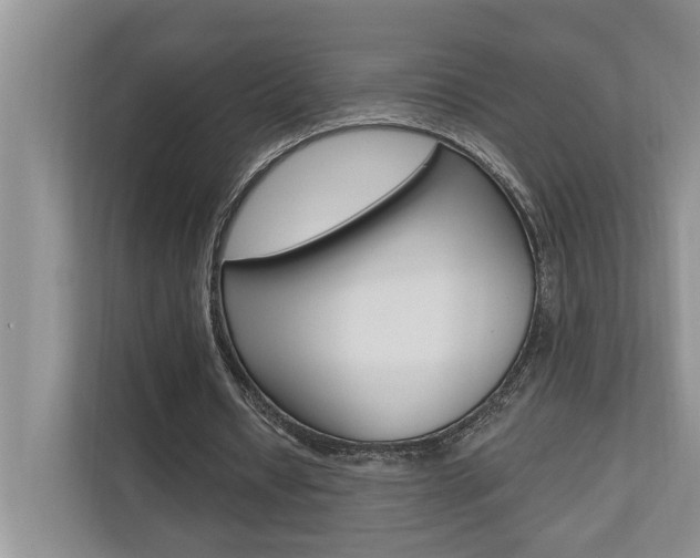 X0000110700434200906121039