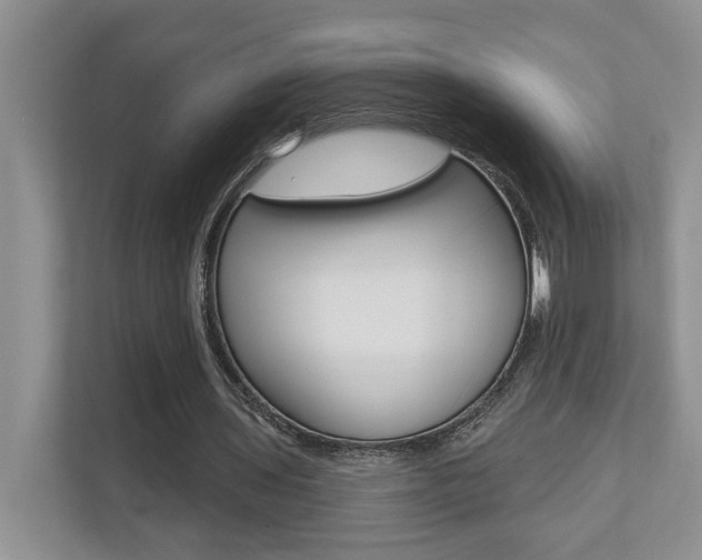 X0000110700435200906121039