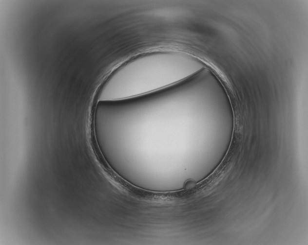 X0000110700437200906121039