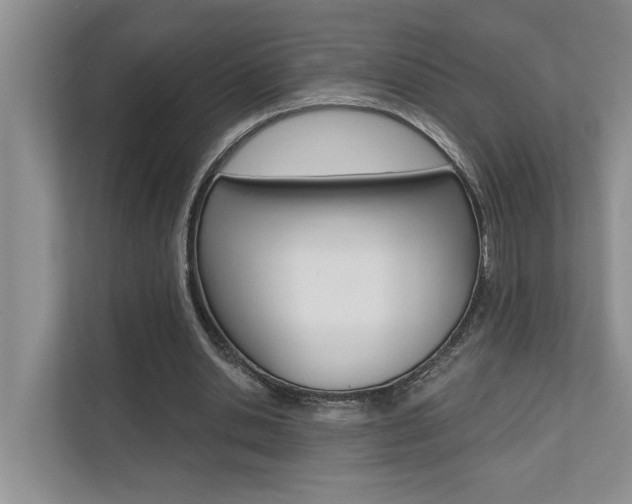 X0000110700438200906121039