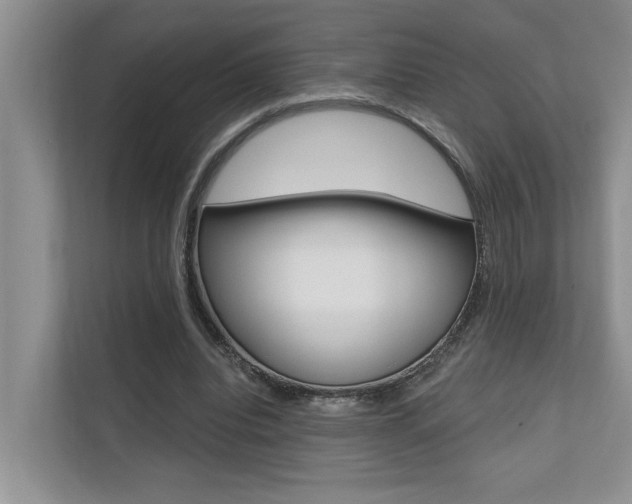 X0000110700440200906121039