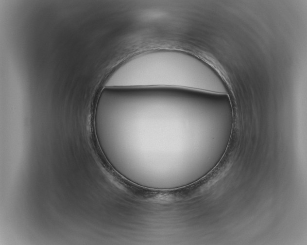 X0000110700441200906121039