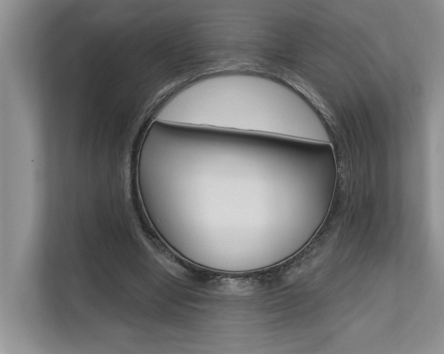 X0000110700442200906121039