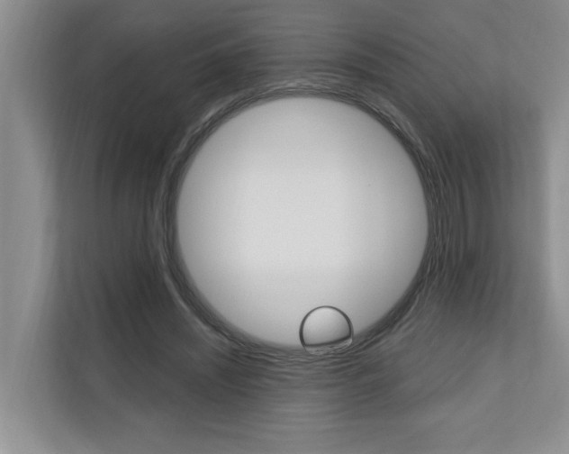 X0000110700444200906121039