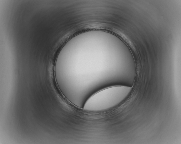 X0000110700445200906121039
