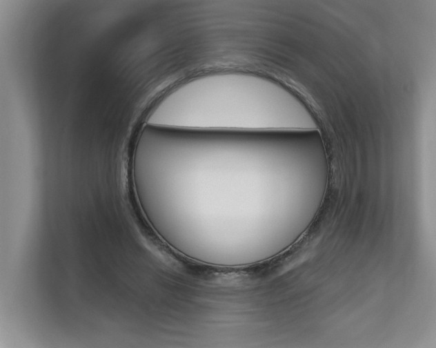 X0000110700446200906121039