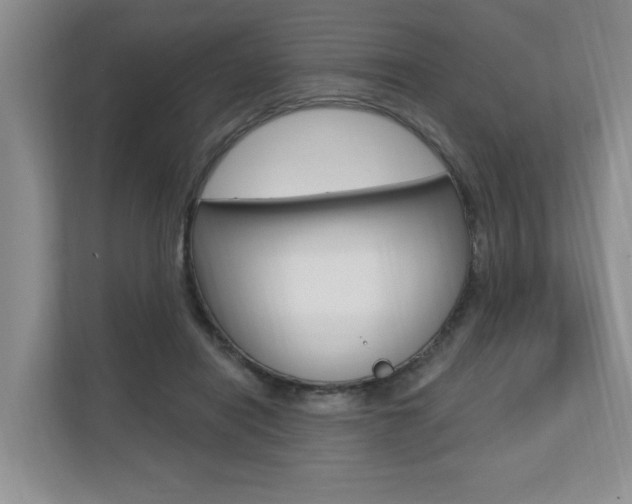 X0000110700454200906121039