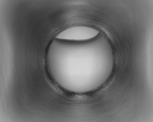 X0000110700455200906121039