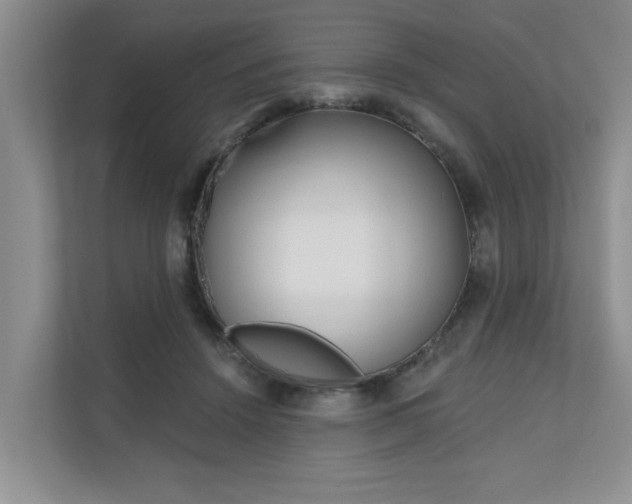 X0000110700456200906121039