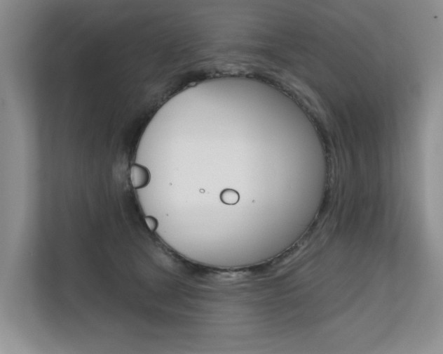 X0000110700465200906121039