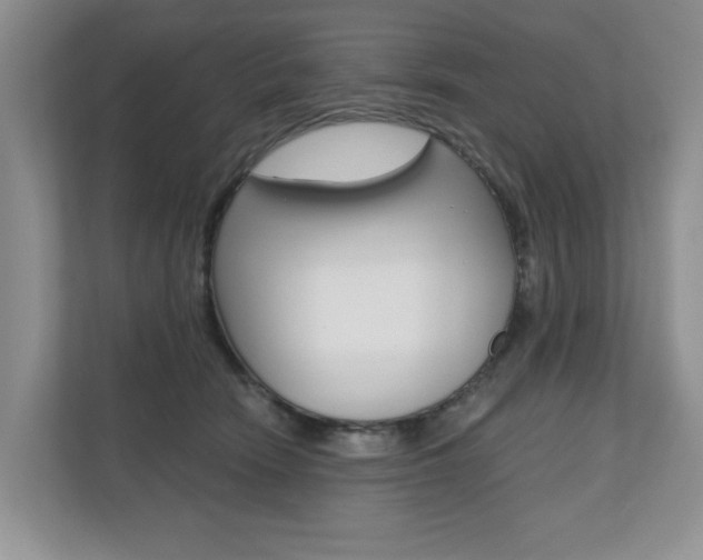 X0000110700466200906121039