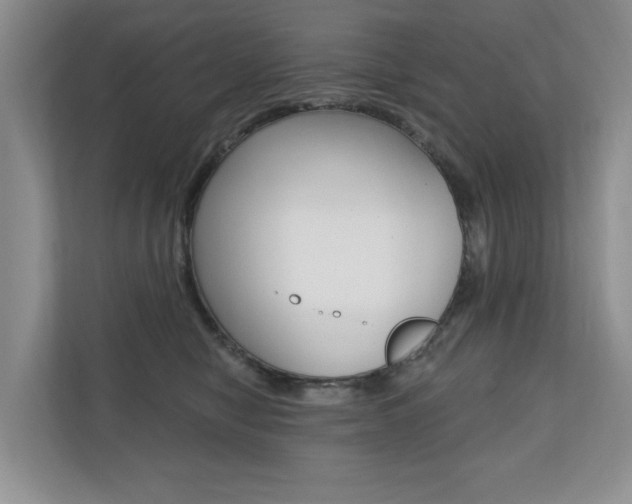 X0000110700470200906121039