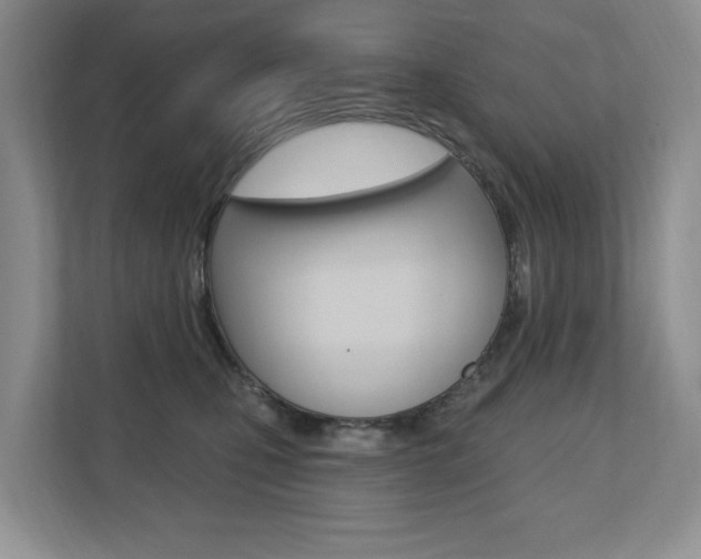 X0000110700471200906121039