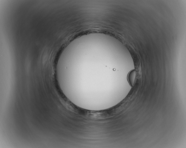 X0000110700472200906121039