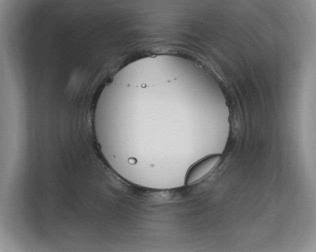 X0000110700473200906121039