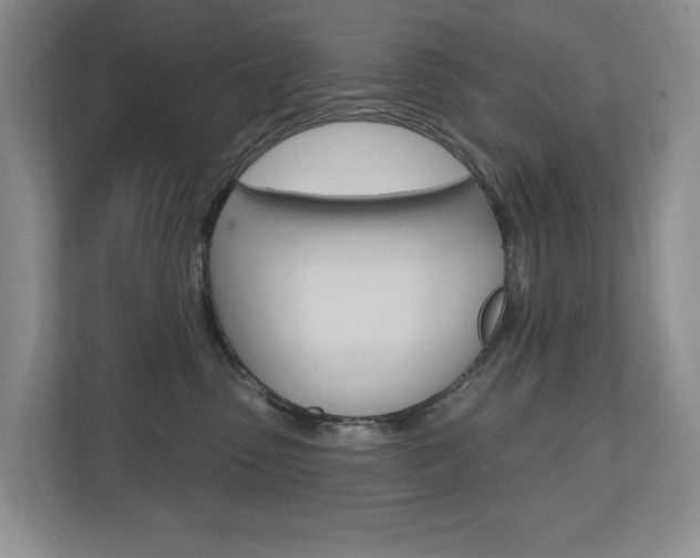 X0000110700475200906121039