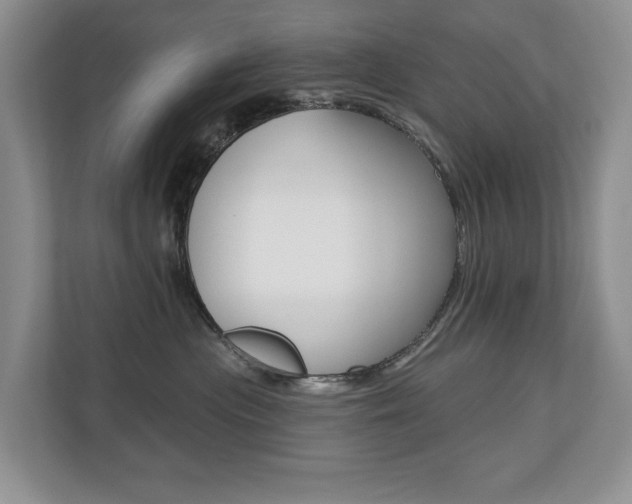 X0000110700477200906121039