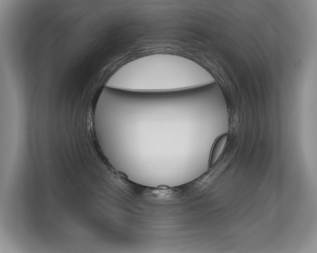 X0000110700478200906121039