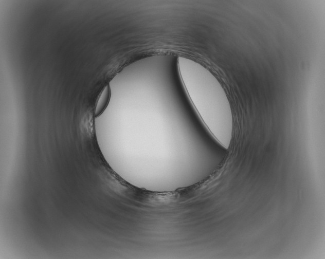 X0000110700479200906121039