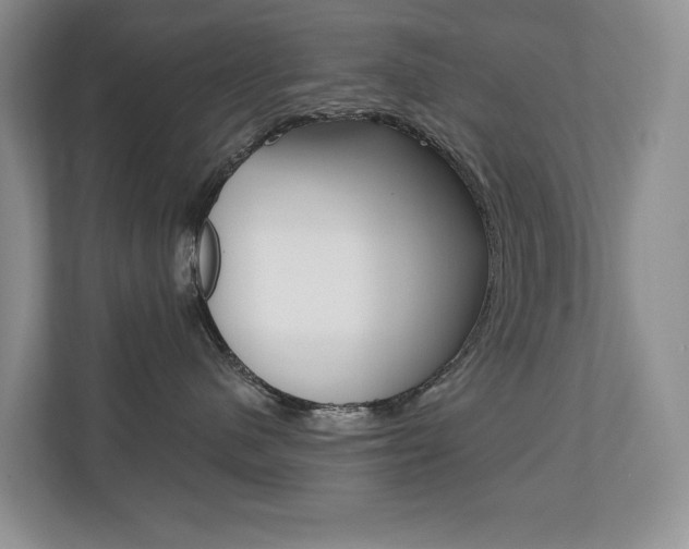 X0000110700480200906121039