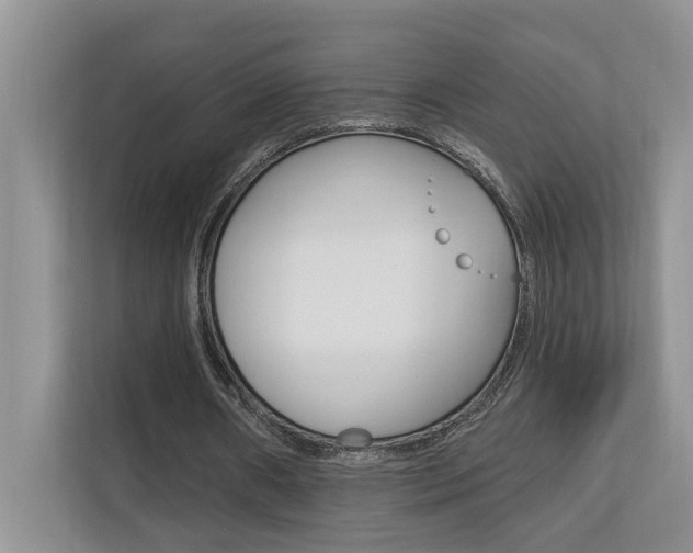 X0000110700482200906121039