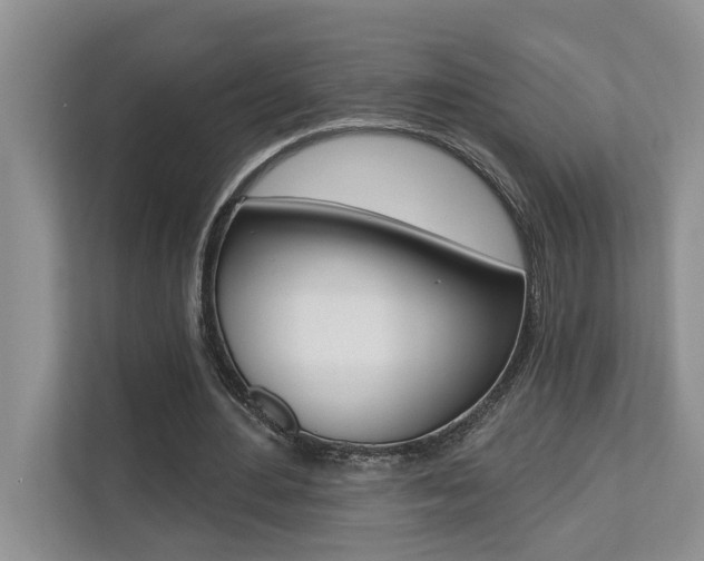 X0000110700484200906121039