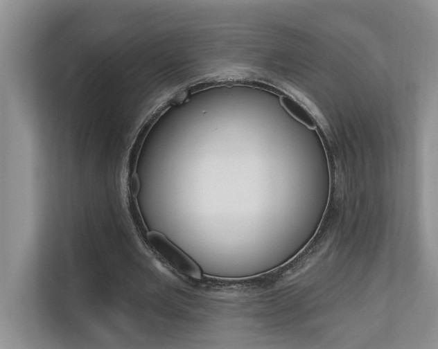 X0000110700485200906121039