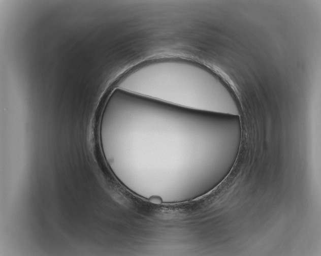 X0000110700487200906121039