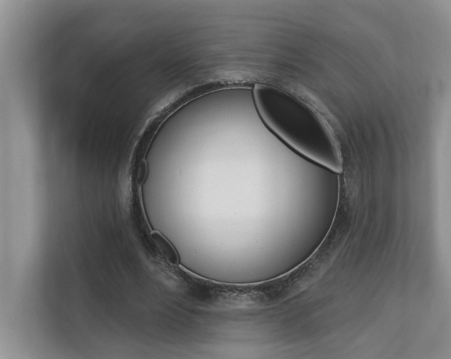 X0000110700488200906121039