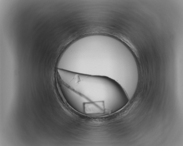 X0000110700489200906121039