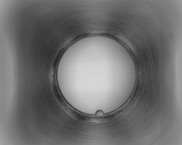 X0000110700490200906121039