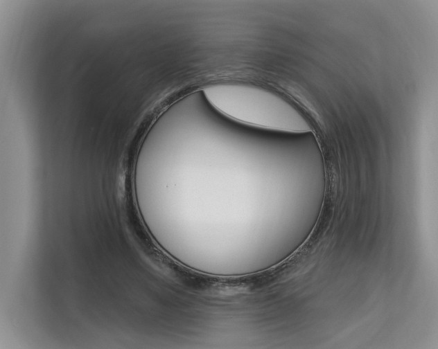 X0000110700491200906121039