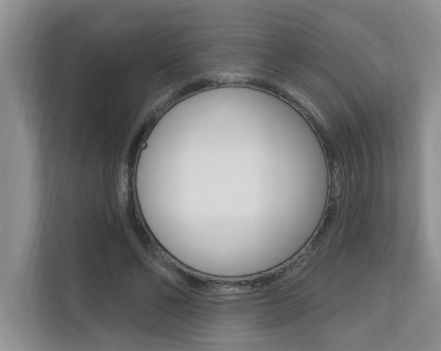 X0000110700494200906121039