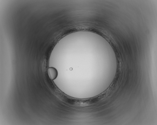 X0000110700498200906121039